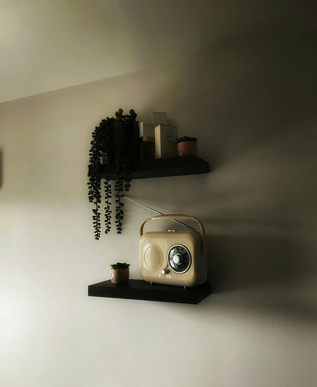 A classic vintage radio on minimalist shelves with potted plants providing a cozy interior vibe.