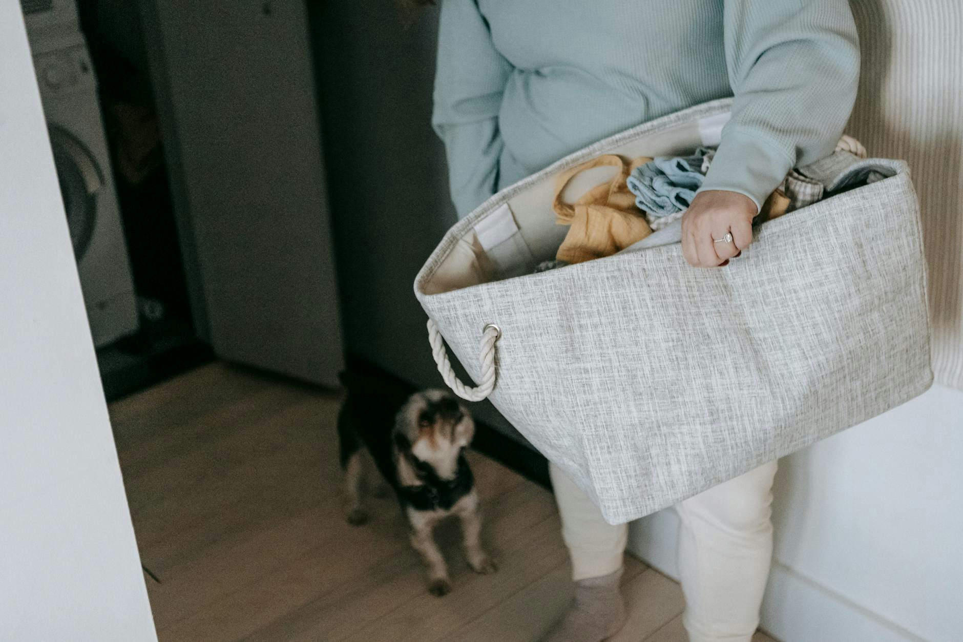Crop unrecognizable female with nag of dirty clothes standing in light room room with with cute dog during laundry routine